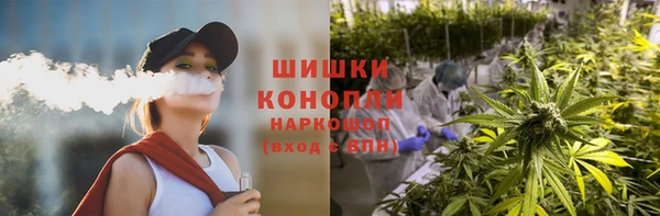 шишки Тольятти