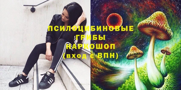 каннабис Кущёвская